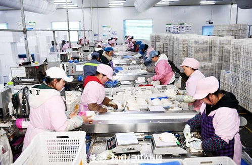 日產量達70噸，產值60余萬元 工廠化種植食用菌助農增收的技術開發與實踐