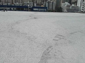 深圳熱銷混凝土 輕質(zhì)混凝土價格