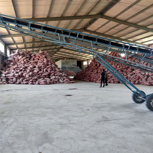 珍珠巖建筑材料 歐都新材料建筑材料 萬寧珍珠巖